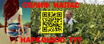 гидра Усть-Илимск