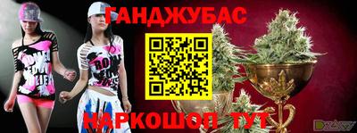 гидра Усть-Илимск