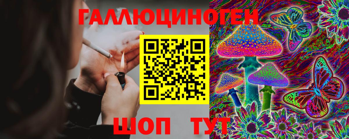 Псилоцибиновые грибы Psilocybe Кыштым
