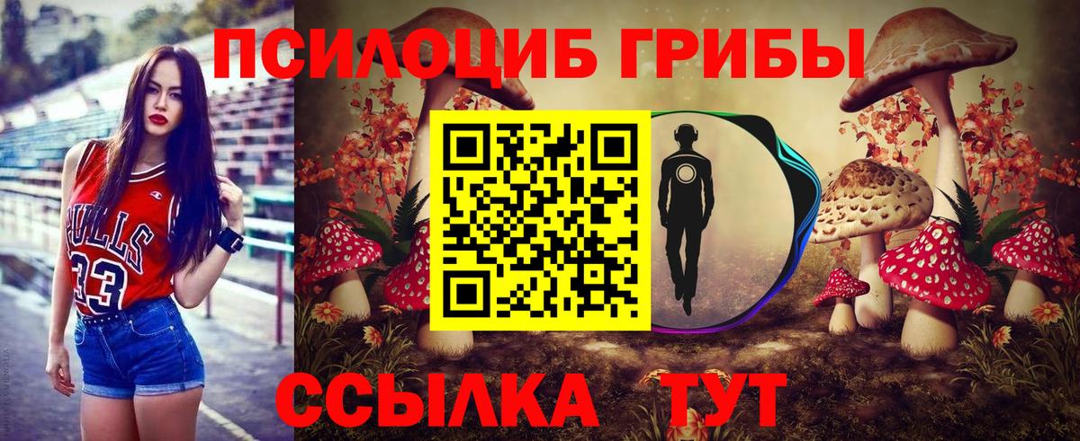 Псилоцибиновые грибы Psilocybe  Вход с VPN  Кыштым  Галлюциногенные грибы GOLDEN TEACHER 
